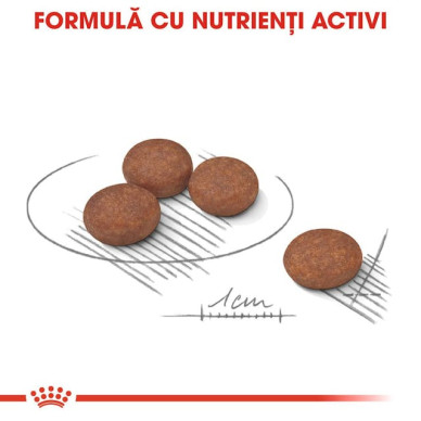 Royal Canin Mini Digestive Care – Hrană Uscată pentru Câini Adulți de Talie Mică, pentru Digestie Sensibilă – 1 kg